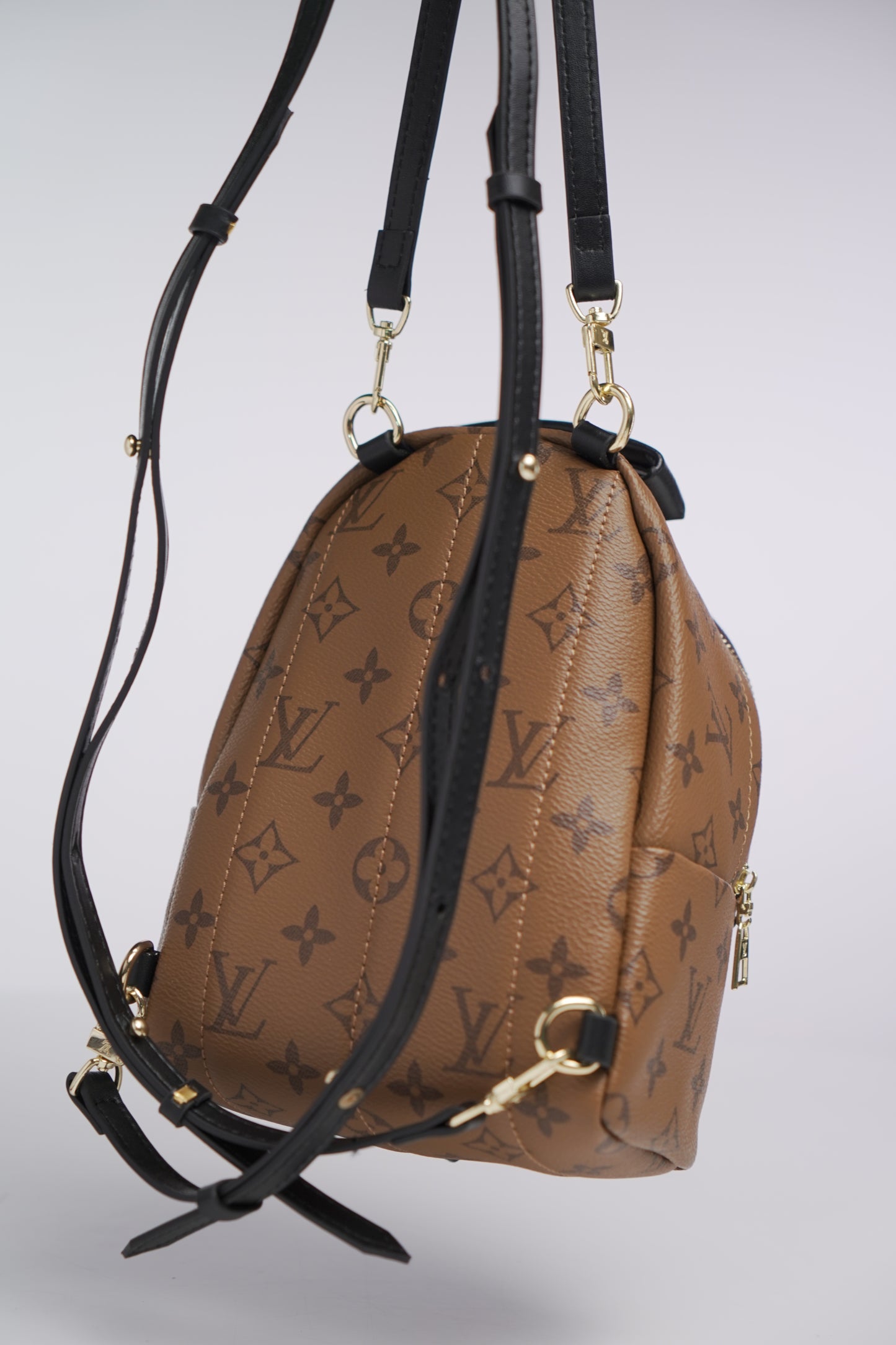 Louis Vuitton Reverse Monogram Palm Springs Backpack Mini