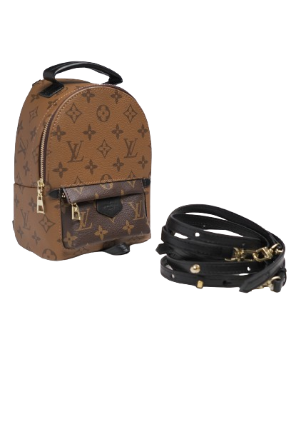 Louis Vuitton Reverse Monogram Palm Springs Backpack Mini